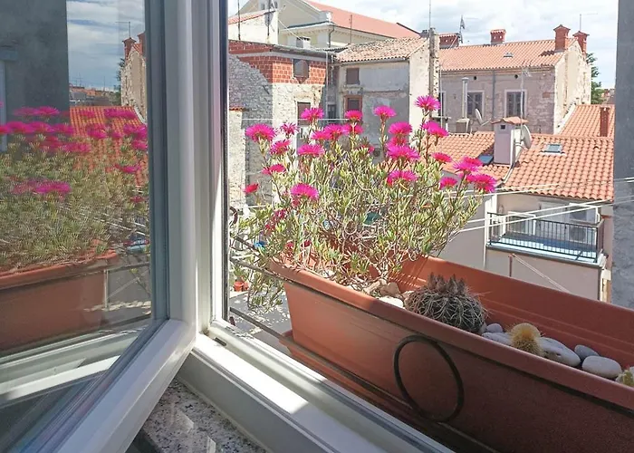 Apartman Self Check In, Wi-fi, Ac